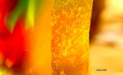 Colors and light