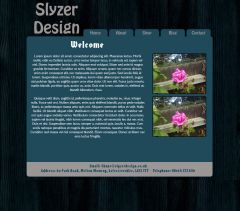 A Quick website concept