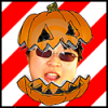 LINGsCARS
