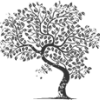 DRK